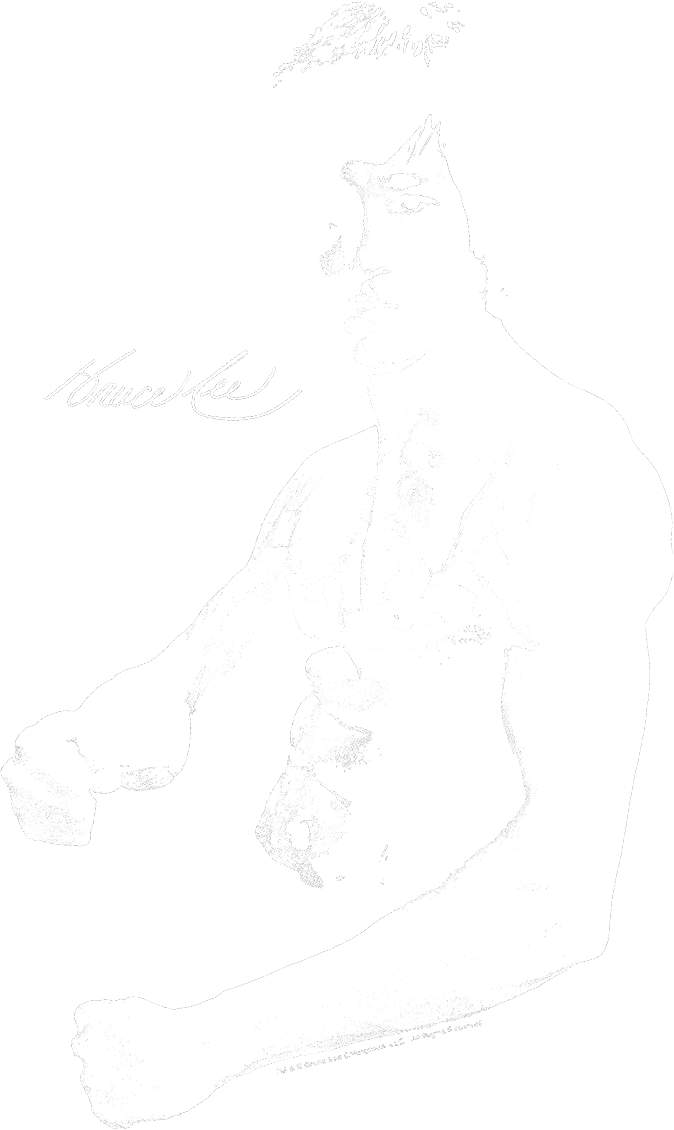 Bruce Lee - Halftone